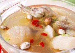 蓮須白果燉白鴿 蓮須白果燉白鴿