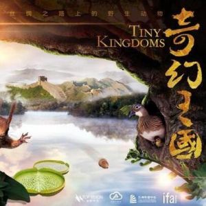 奇幻王國 奇幻王國