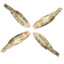 火焙魚 火焙魚