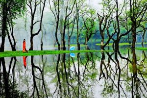 泰和麻州 泰和麻州