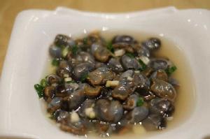 泥螺[後鰓目阿地螺科動物]