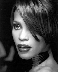 Love Will Save the Day[惠特尼休斯頓單曲]