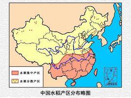 中國糧食作物地理
