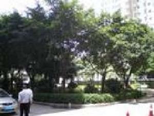 方薈嘉苑 方薈嘉苑