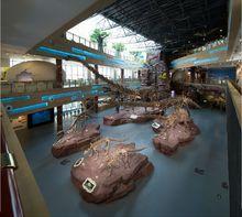 安徽省地質博物館