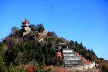 百望山森林公園