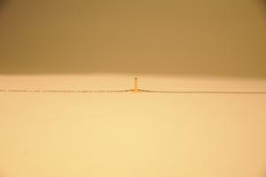 愛情鳥珠寶18K金字母T吊墜