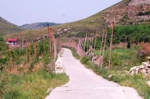 山頭莊村 山頭莊村