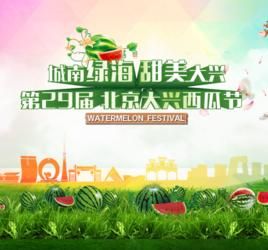 大興西瓜節 大興西瓜節