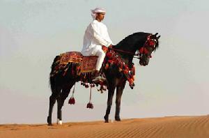 （圖）阿拉伯沙漠