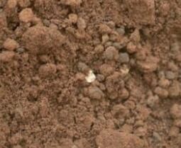 土壤礦物學 土壤礦物學