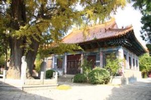 平度市博物館 平度市博物館