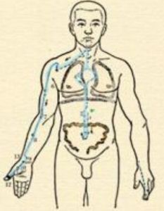 熱入肺衛證 熱入肺衛證