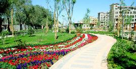 君悅海棠 君悅海棠