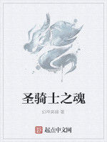 聖騎士之魂 聖騎士之魂