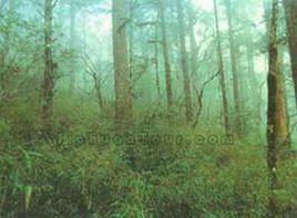 牡羊自然保護區 牡羊自然保護區