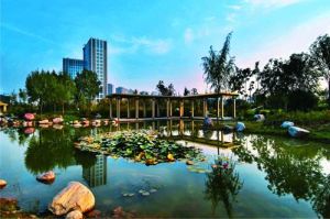 鄭東新區濕地公園