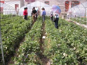 安順職業技術學院