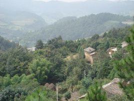 沈家村[雲南省尋甸縣河口鄉下轄村]