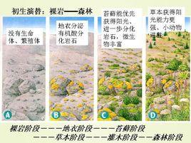 群落演替學 群落演替學