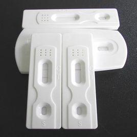 犬細小檢測 犬細小檢測