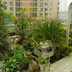 衛生局宿舍 衛生局宿舍