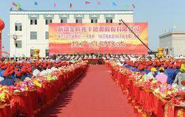 新疆特大型金 新疆特大型金