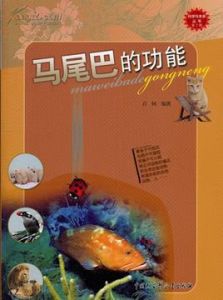 馬尾巴的功能 馬尾巴的功能