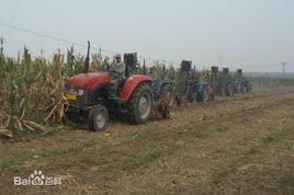 東毛堂村 東毛堂村