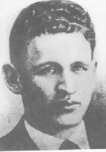 維金斯基 維金斯基