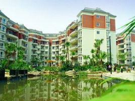 金輝融僑半島 金輝融僑半島