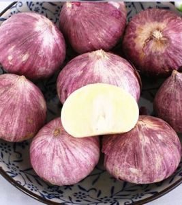 紫皮蒜