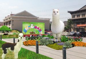 羊駝嘉年華 羊駝嘉年華