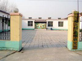 壽張集鎮 壽張集鎮