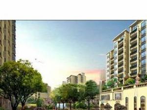 新華陽光國際 新華陽光國際