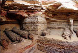 埃及吉薩省薩卡爾地區發現17具木乃伊