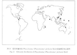 分布圖:棕突革囊星蟲