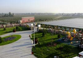 胡家莊村[楚雄市蒼嶺鎮蒼嶺村委會下轄村]