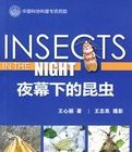 《夜幕下的昆蟲》 《夜幕下的昆蟲》