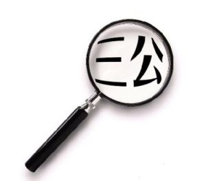 三公原則 三公原則