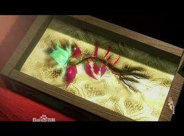 碧血玉葉花 碧血玉葉花