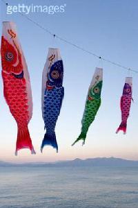 相模川鯉魚旗會
