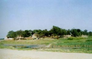 樂安故城 樂安故城