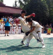 青城功夫 青城功夫