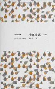 海岩精品集:獨家披露 海岩精品集:獨家披露