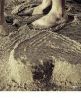 單眼魚記事簿 單眼魚記事簿