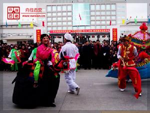 靖邊跑驢 靖邊跑驢