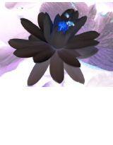 平淡的兩年-淡淡的愛戀 平淡的兩年-淡淡的愛戀