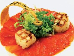 陽光番茄圈 陽光番茄圈