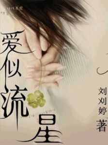 愛似流星 愛似流星